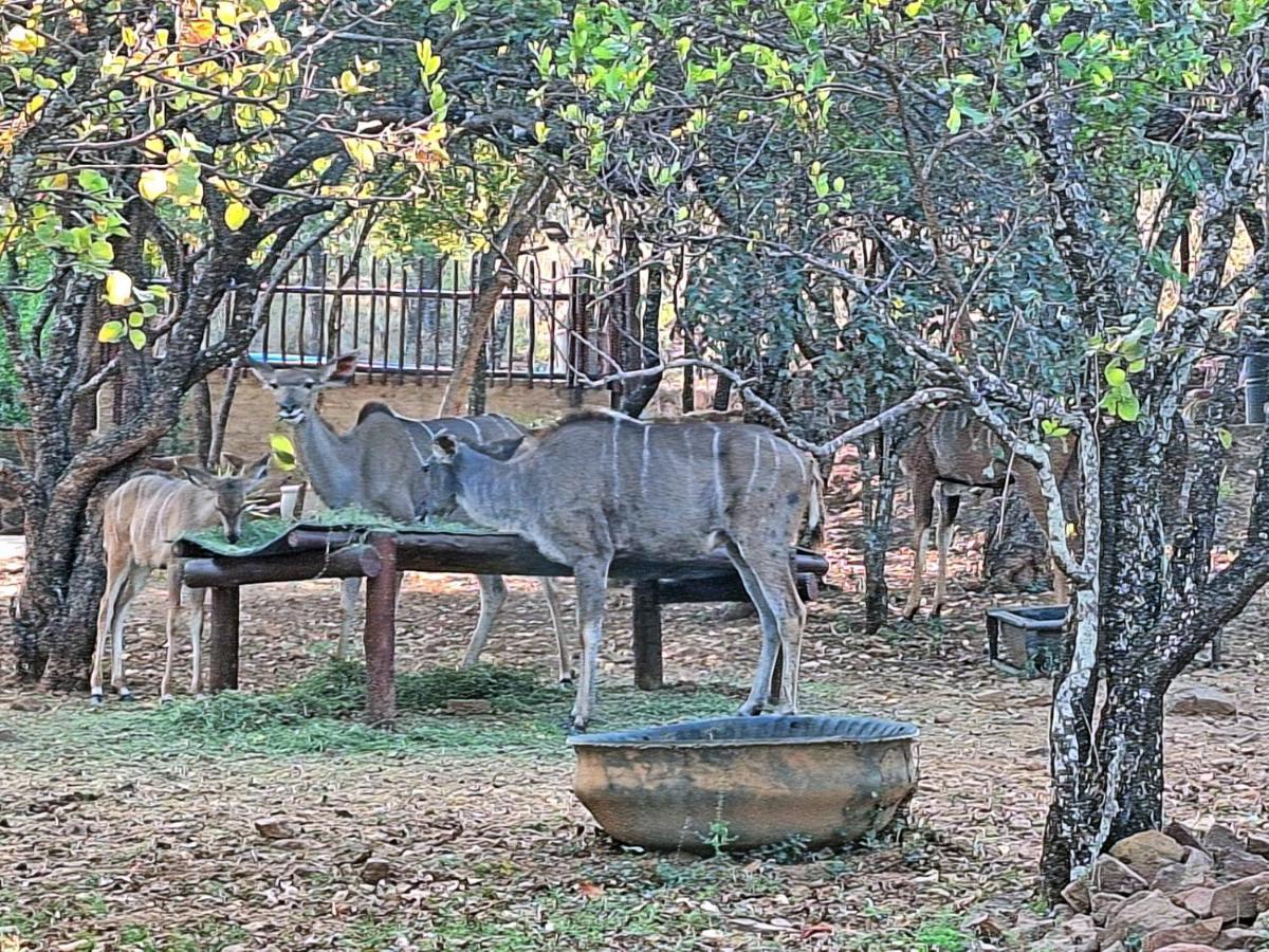 Loskop Serene Bush Holiday home Winterkamp